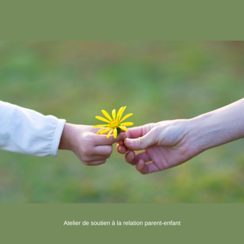 La main d'un enfant et d'un adulte se rejoigne pour tenir ensemble une fleur jaune.